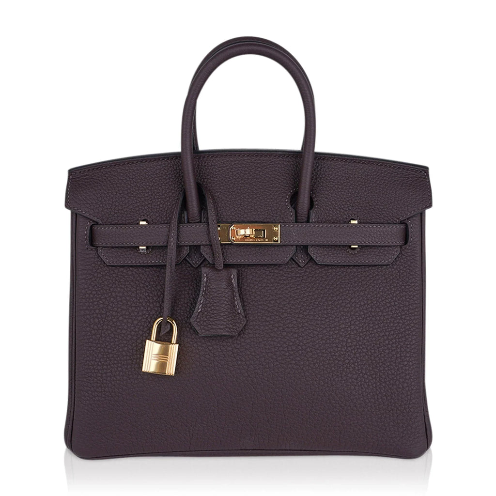 Birkin 25 Bag Chocolat Gold Hardware Togo Leather