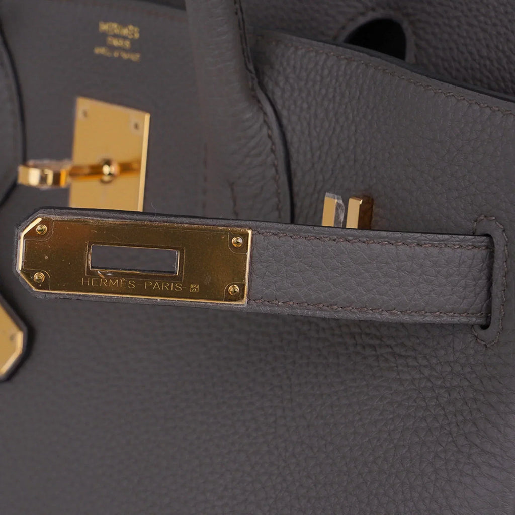 Birkin 30 Bag Etain Gray Coveted Gold Hardware Togo