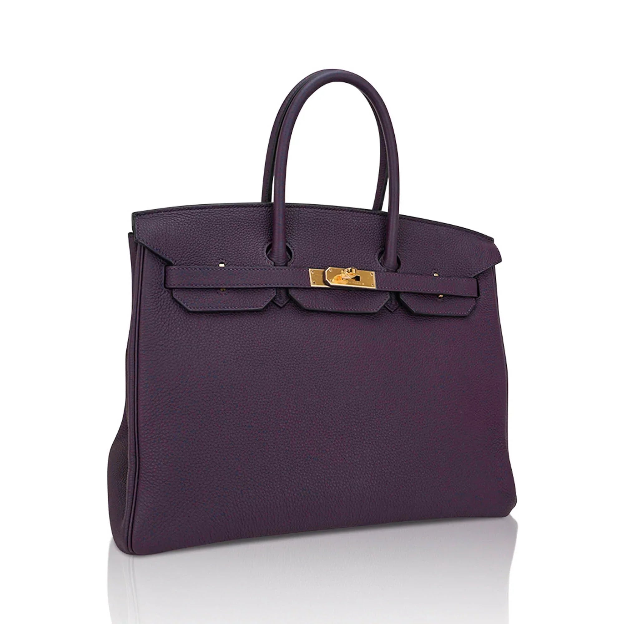 Birkin 35 Bag Raisin Togo Leather with Gold Hardware
