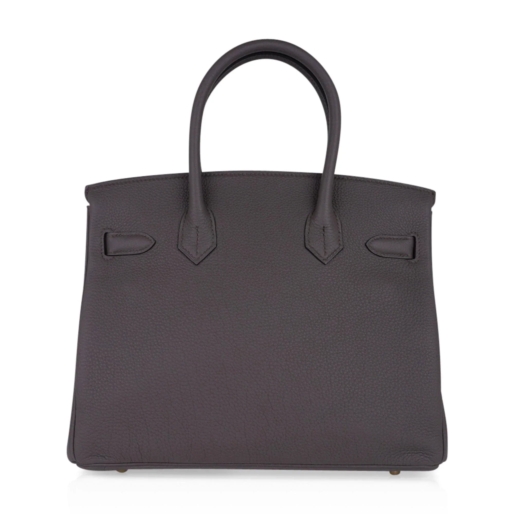 Birkin 30 Bag Etain Gray Coveted Gold Hardware Togo