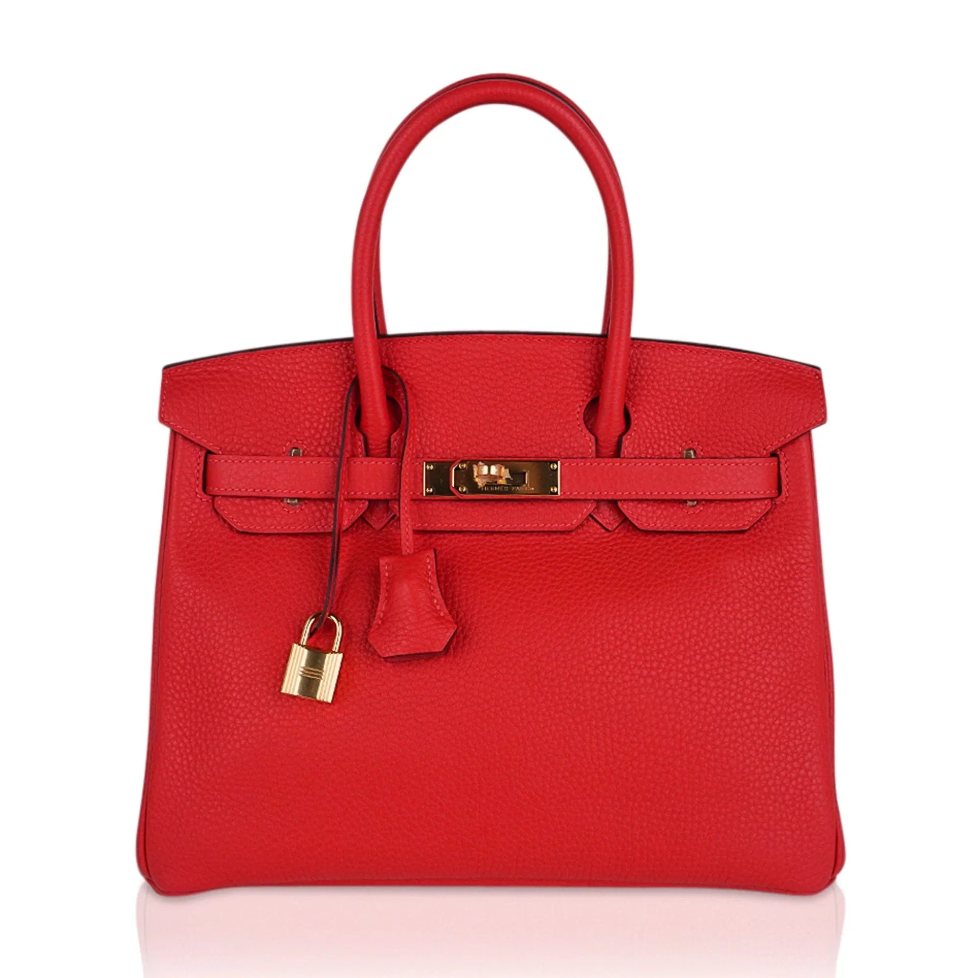 Birkin 30 Capucine Bag Togo Leather Gold Hardware