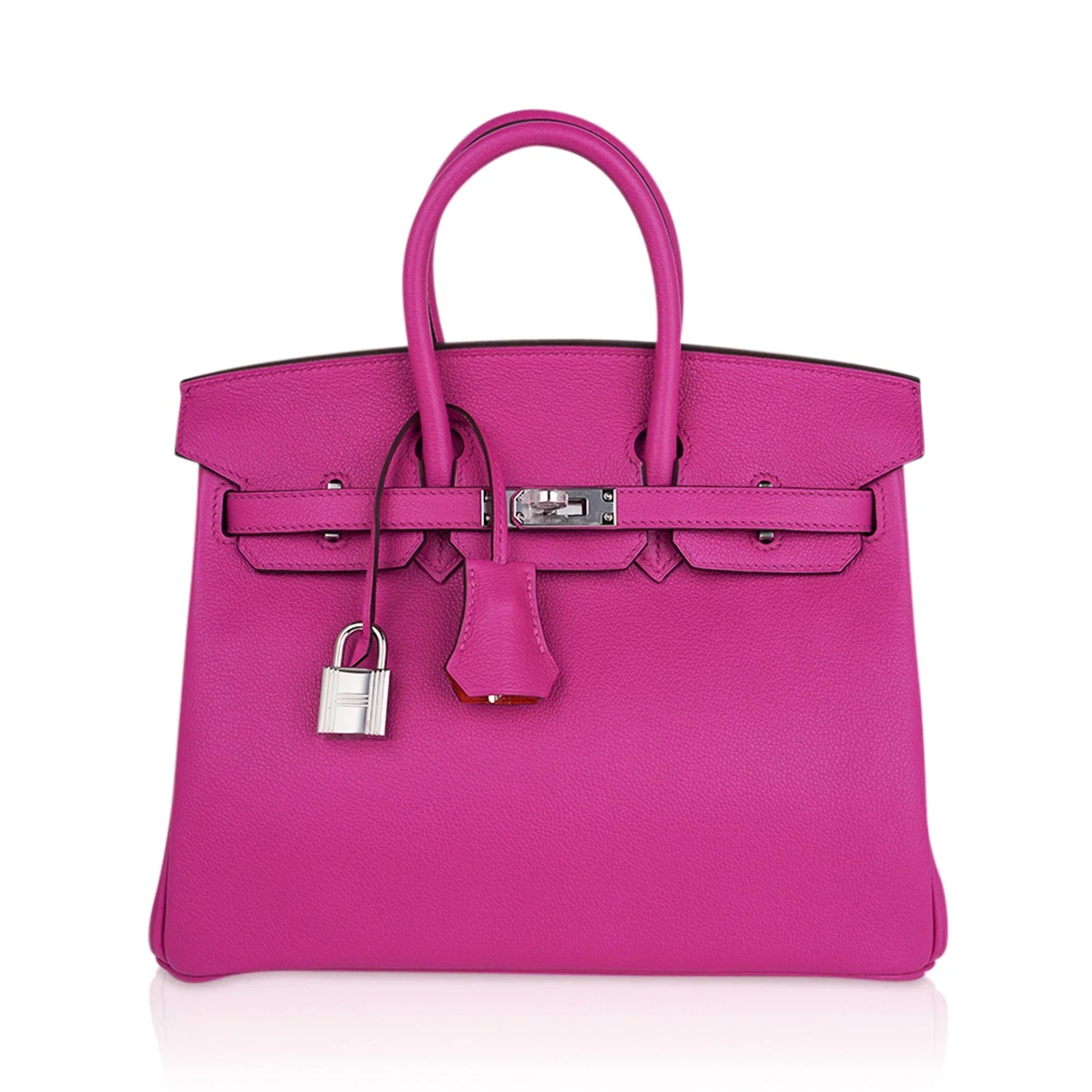 Verso Birkin 25 Bag Magnolia Capucine Togo Leather with Palladium Hardware
