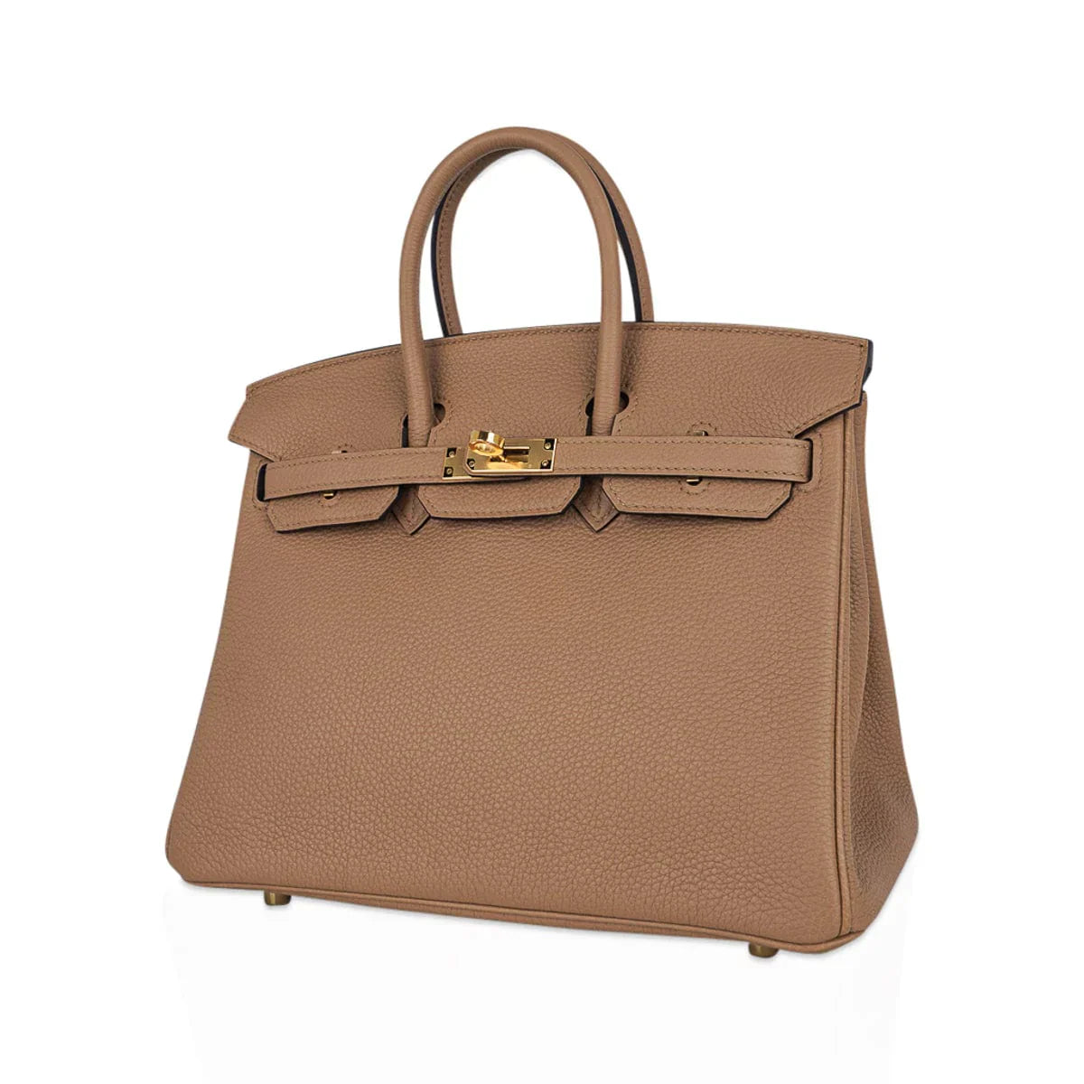 Birkin 25 Bag in Chai Togo Leather with Gold Hardware