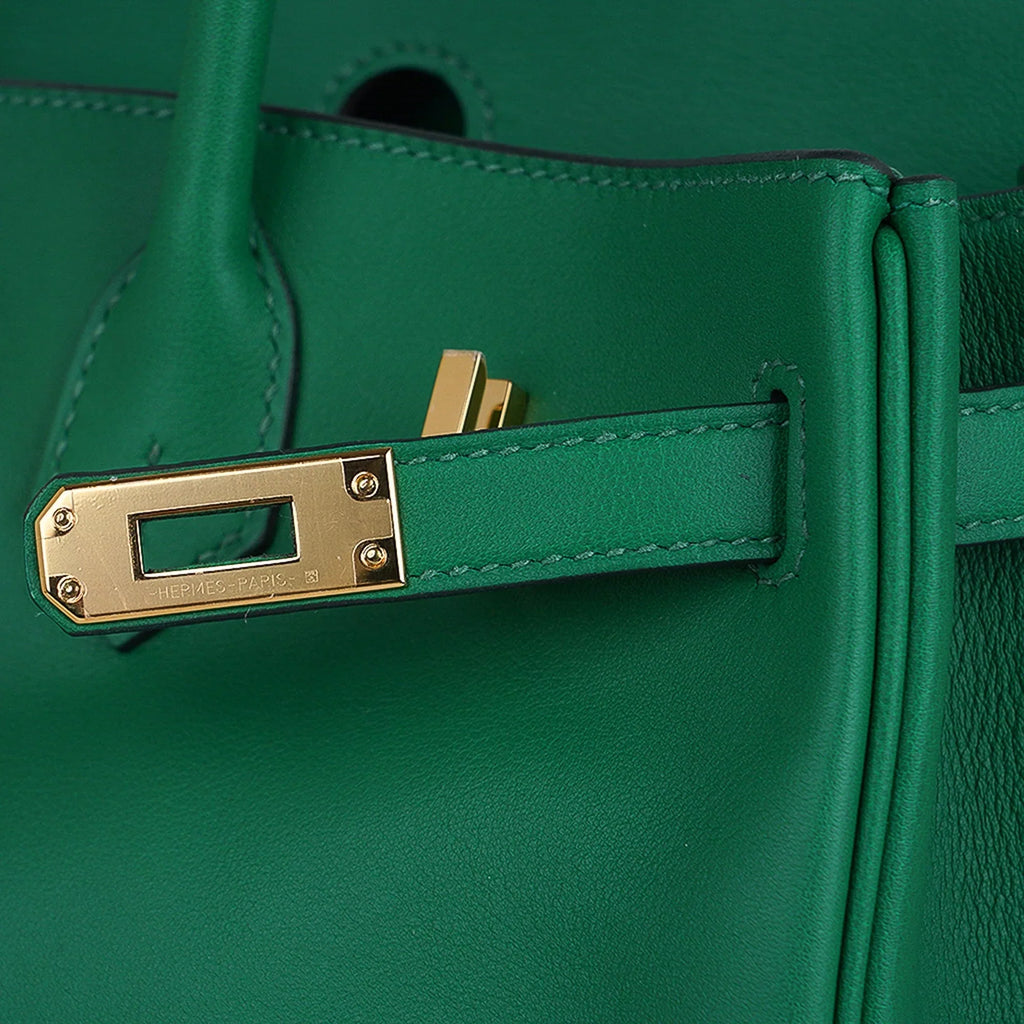 Birkin 25 Bag in Cactus Swift Leather with Gold Hardware