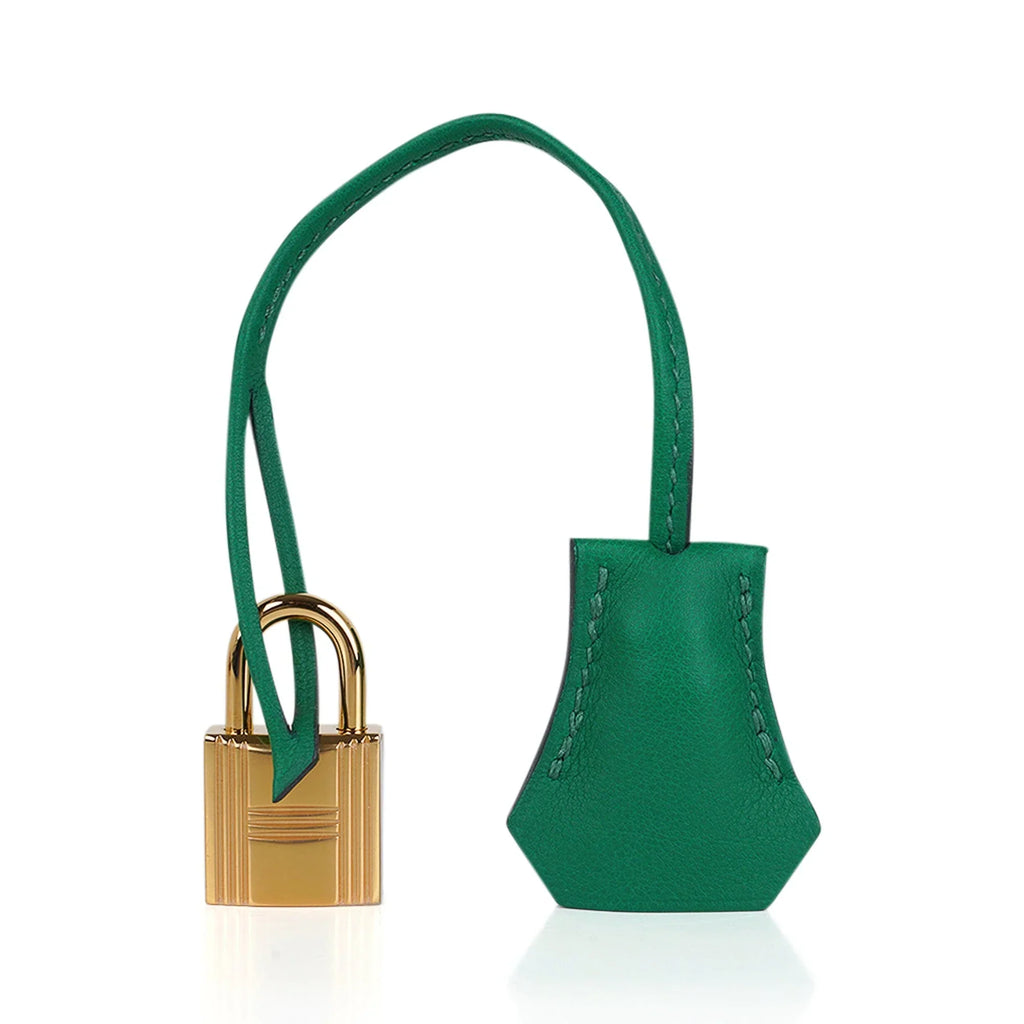 Birkin 25 Bag in Cactus Swift Leather with Gold Hardware