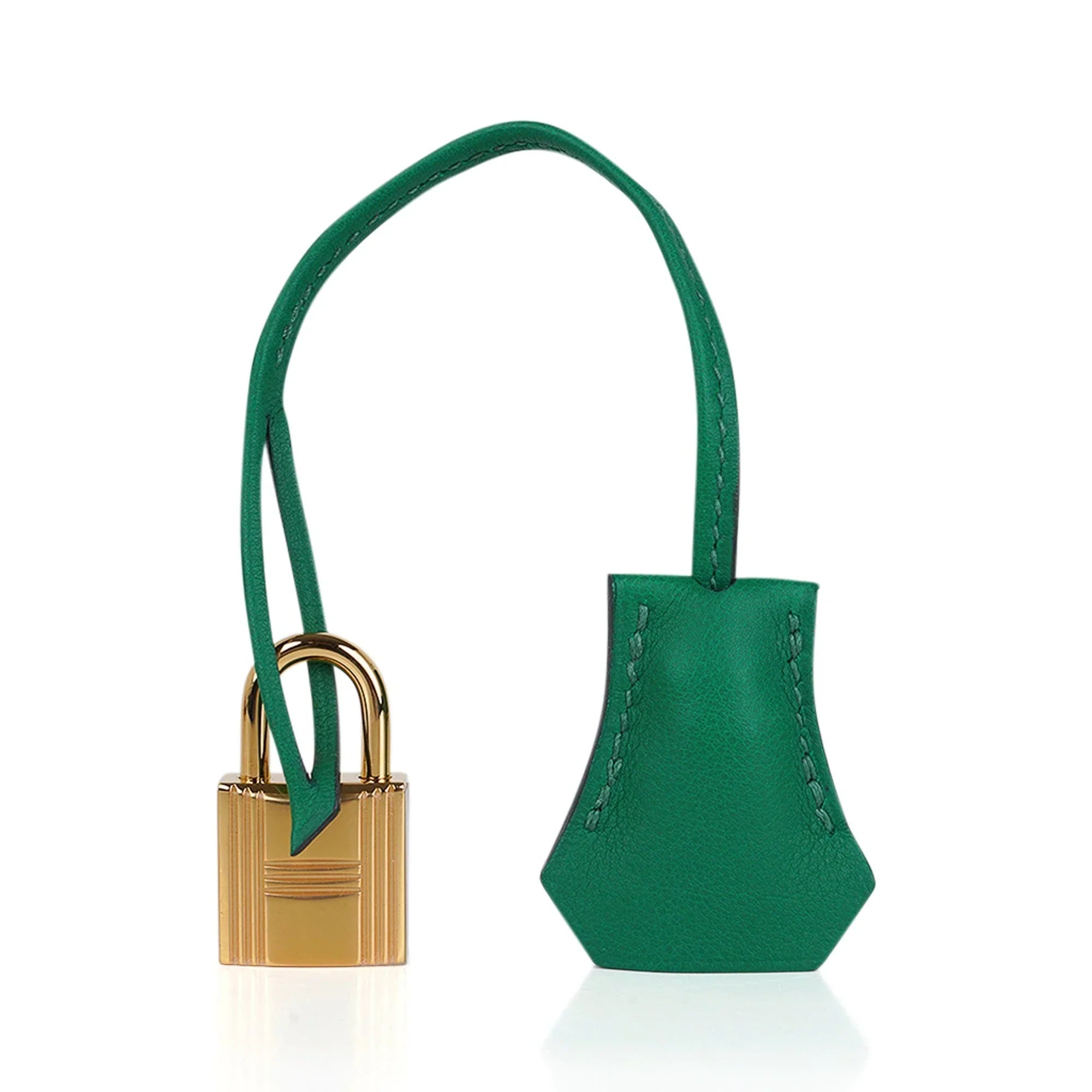 Birkin 25 Bag in Cactus Swift Leather with Gold Hardware