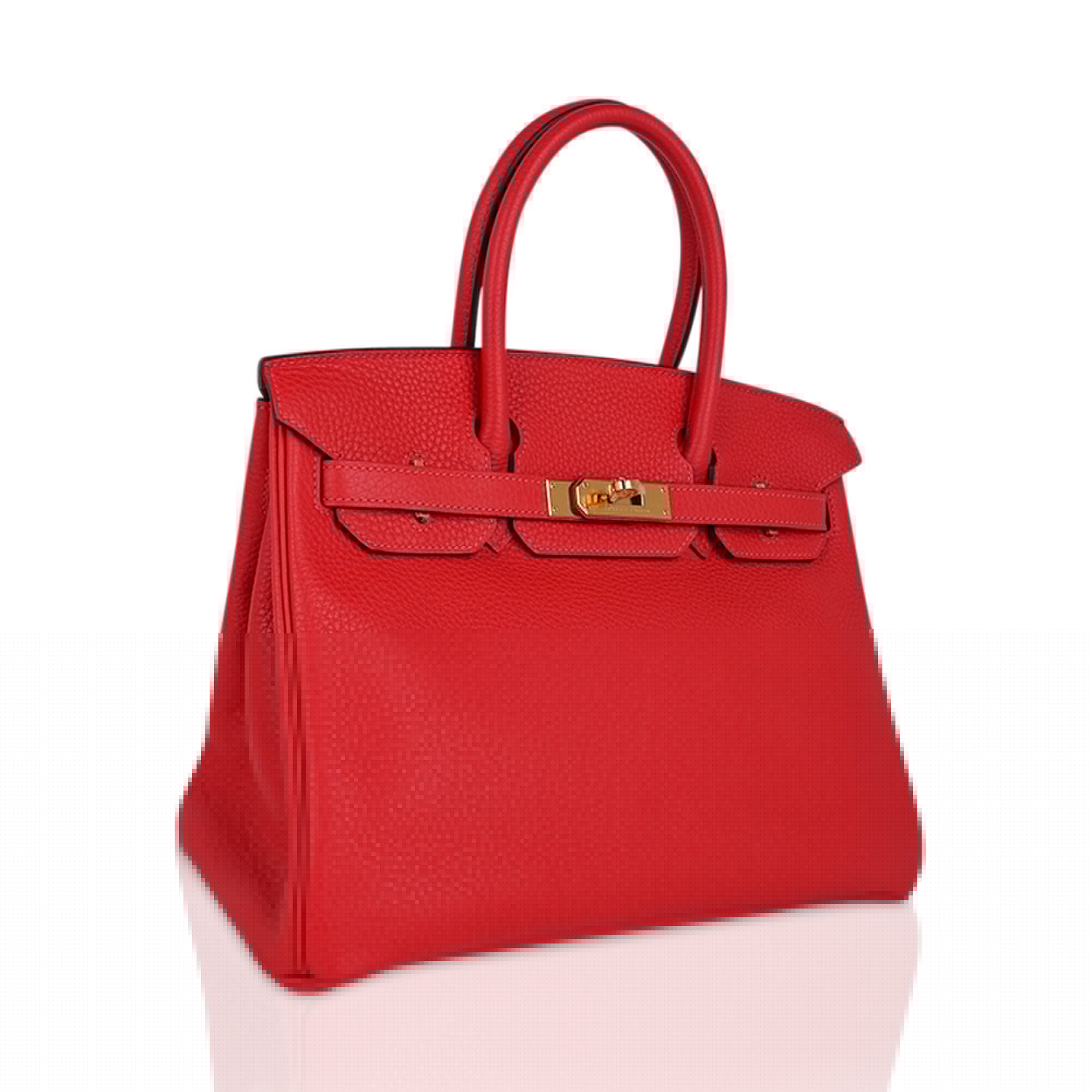 Birkin 30 Capucine Bag Togo Leather Gold Hardware
