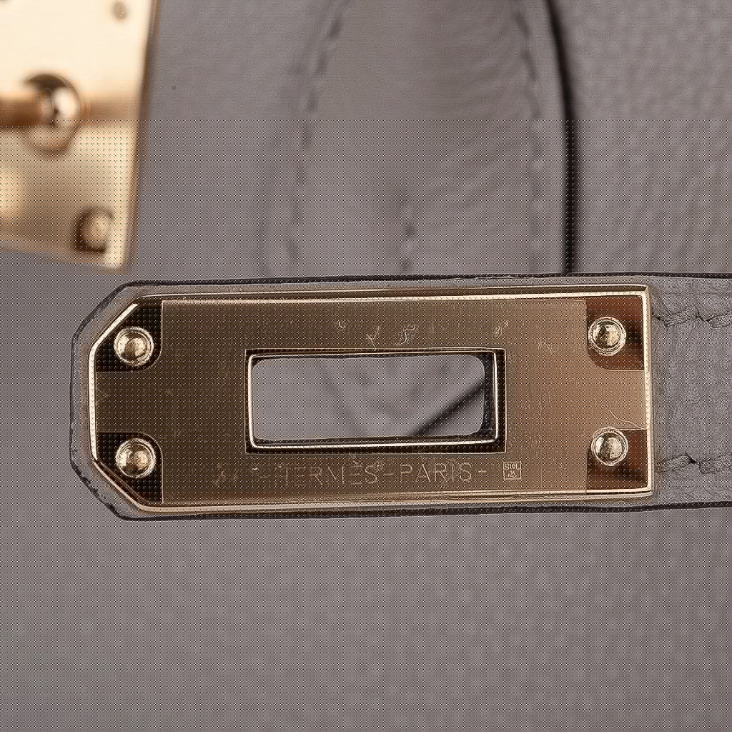 Birkin 25 Bag Gris Asphalte Novillo Leather Gold Hardware