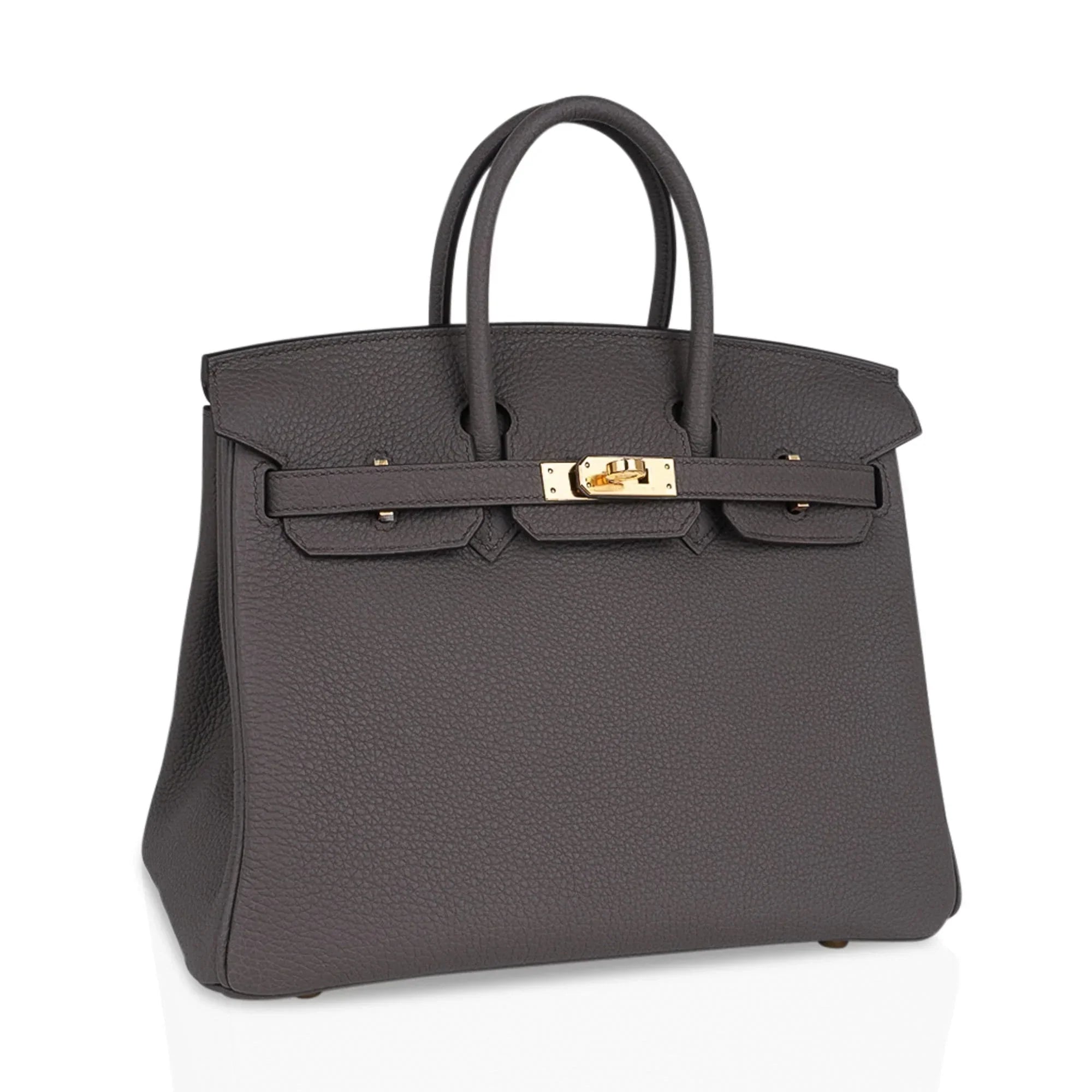 Birkin 25 Bag Etain Gold Hardware Togo Leather New w/Box