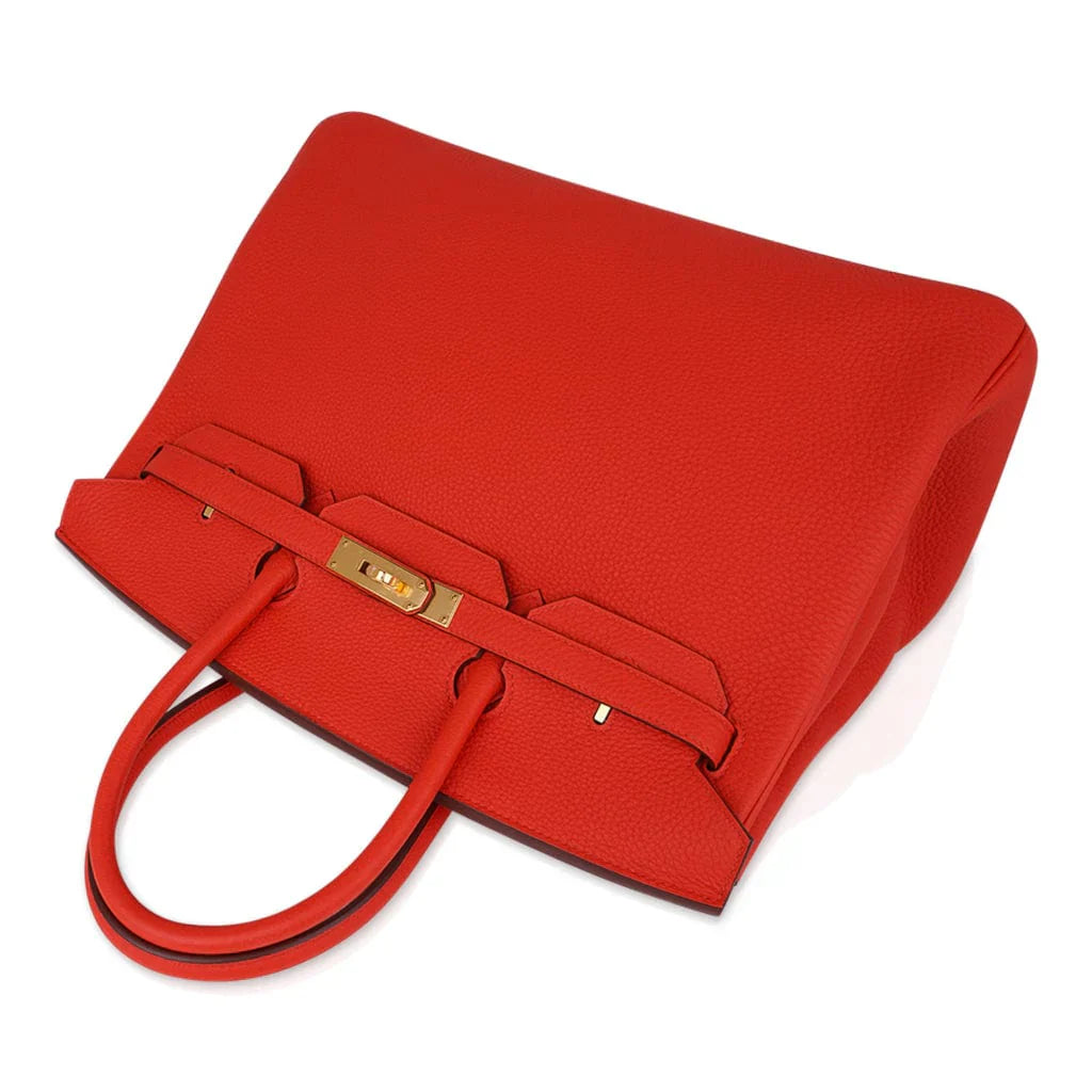 Birkin 35 Bag Capucine Togo Leather with Gold Hardware