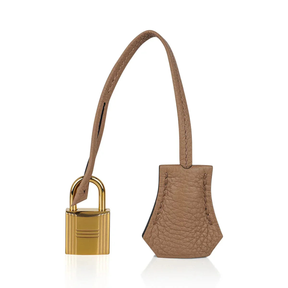 Birkin 25 Bag in Chai Togo Leather with Gold Hardware