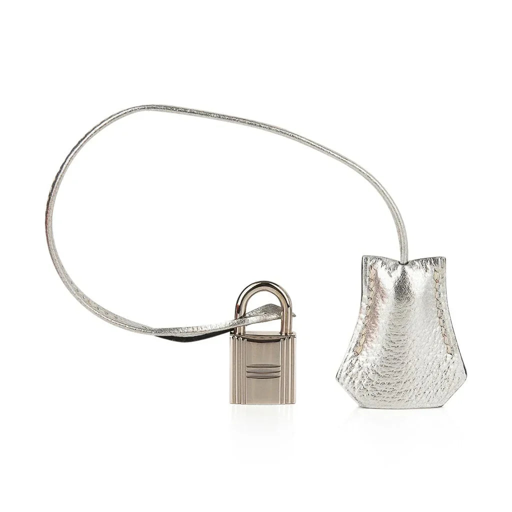Limited Edition Birkin 30 Bag Silver Metallic Chevre Leather with Palladium Hardware