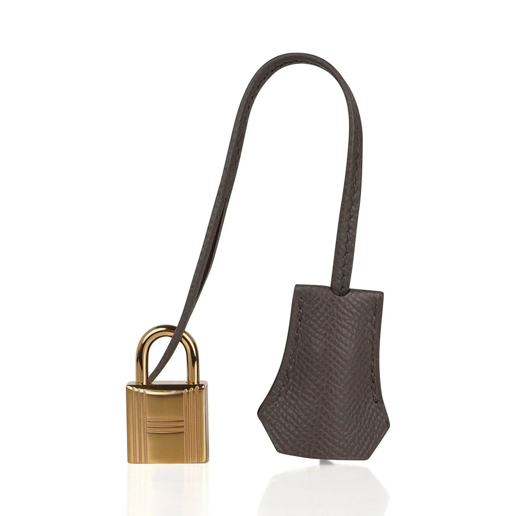 Kelly Sellier 25 Bag Etain Gold Hardware Epsom Leather New
