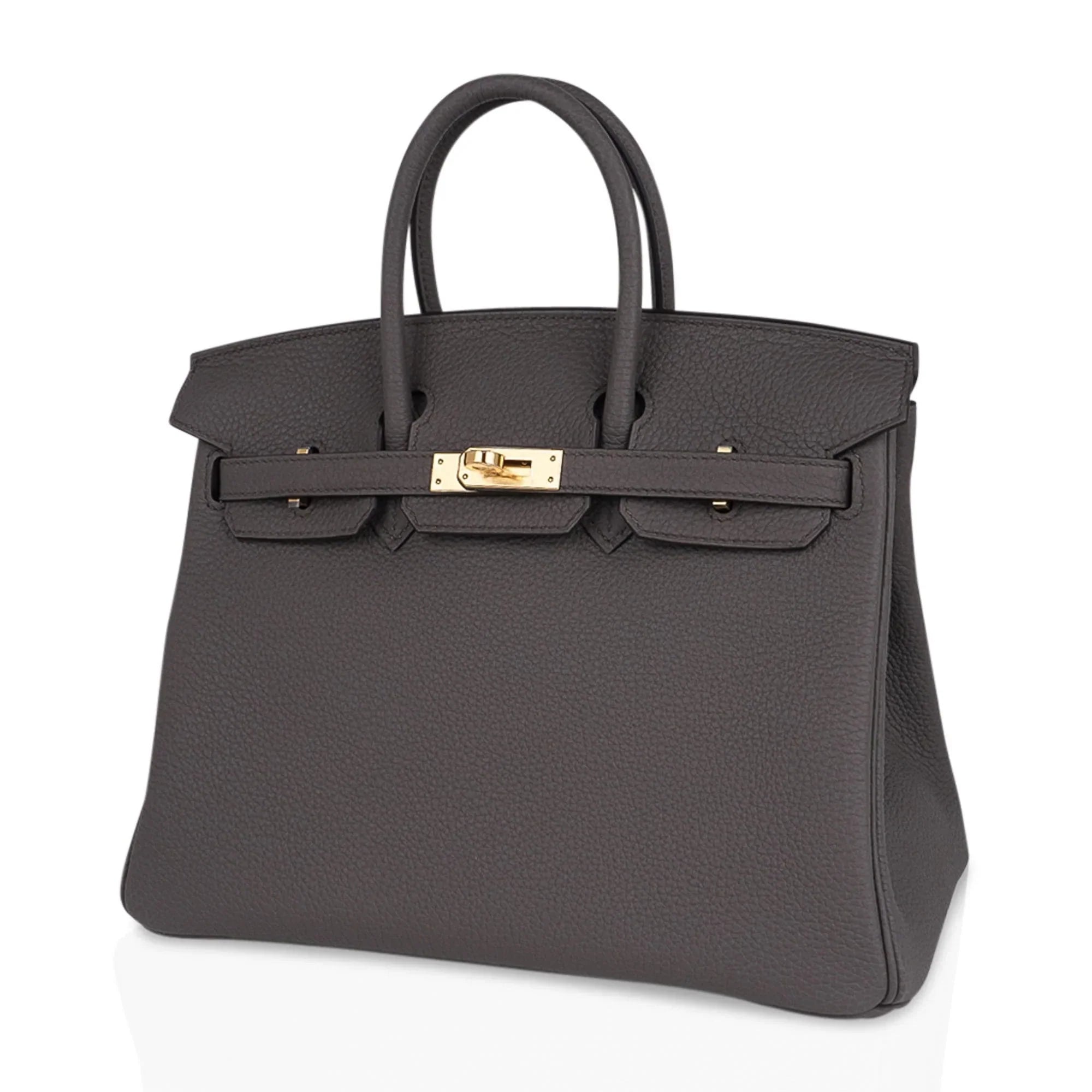 Birkin 25 Bag Etain Gold Hardware Togo Leather New w/Box