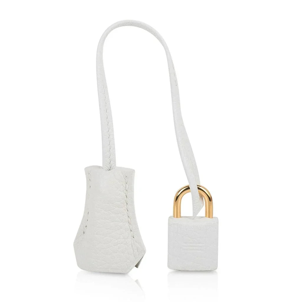 Birkin 25 HSS Bag White Clemence Gold Hardware