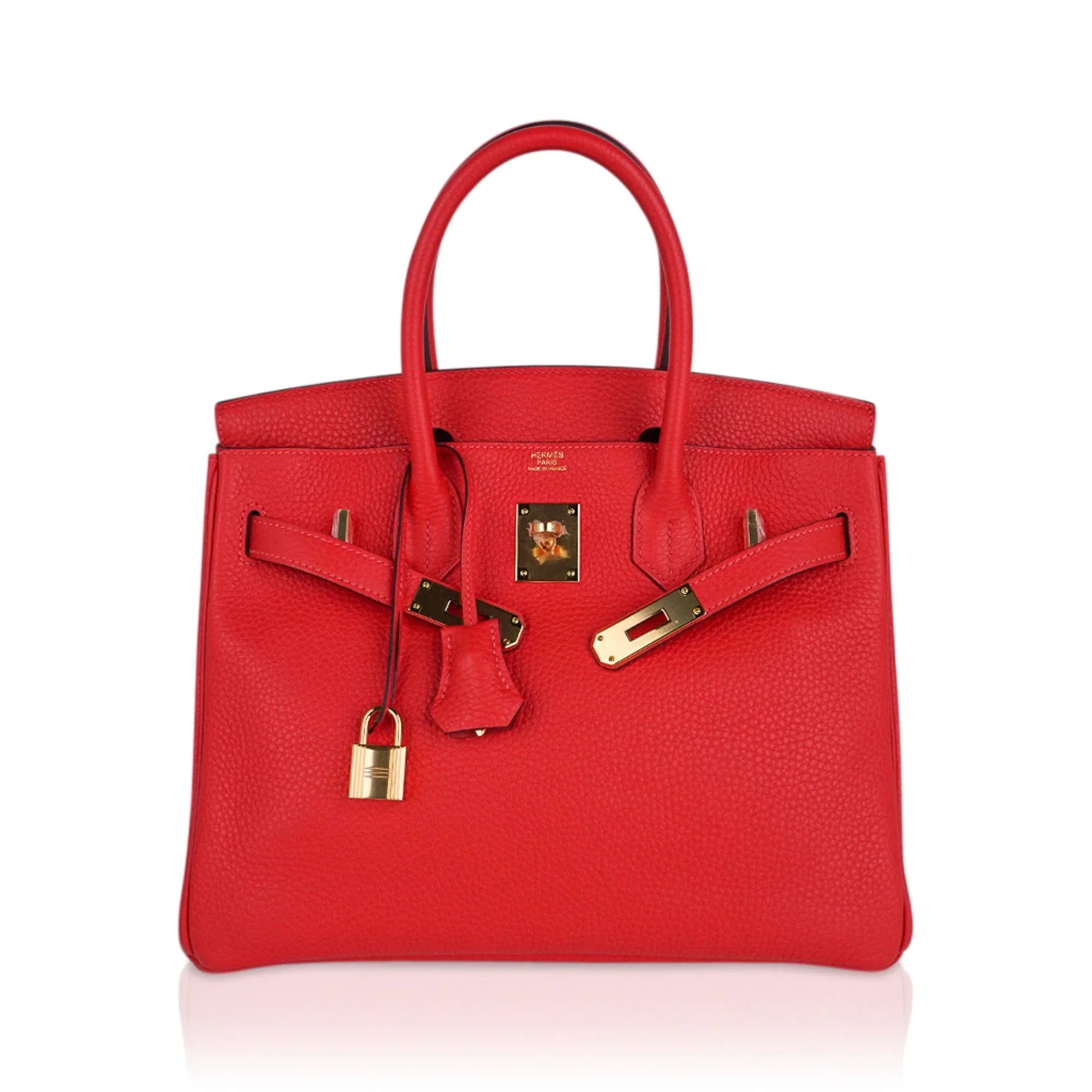 Birkin 30 Capucine Bag Togo Leather Gold Hardware