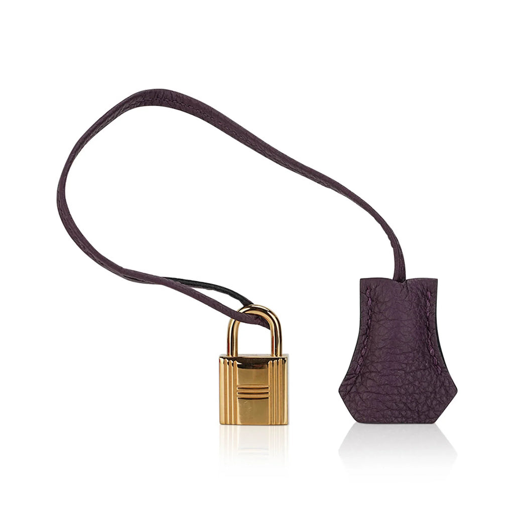 Birkin 35 Bag Raisin Togo Leather with Gold Hardware