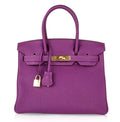 Birkin 30 Bag Anemone Togo Gold Hardware Exotic Purple Beauty