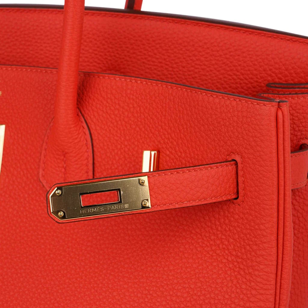 Birkin 35 Bag Capucine Togo Leather with Gold Hardware