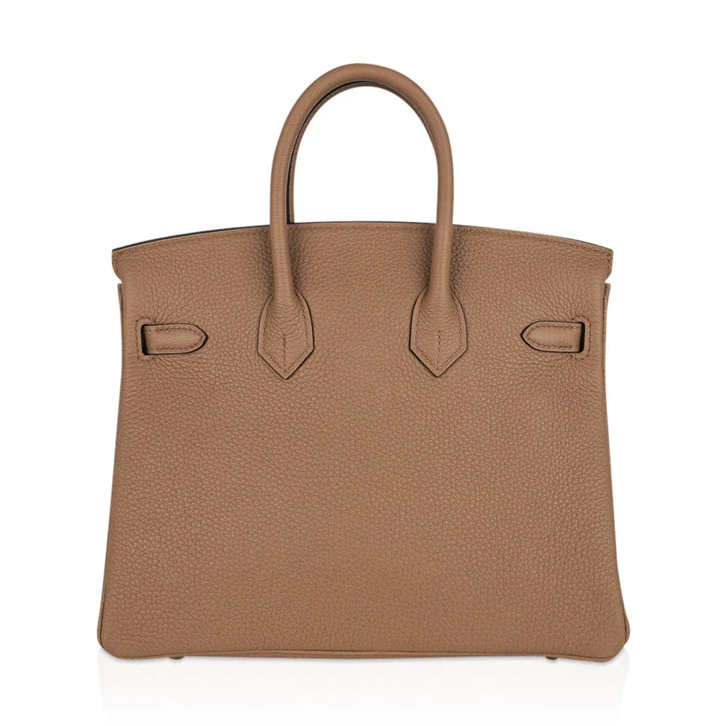 Birkin 25 Bag in Chai Togo Leather with Gold Hardware