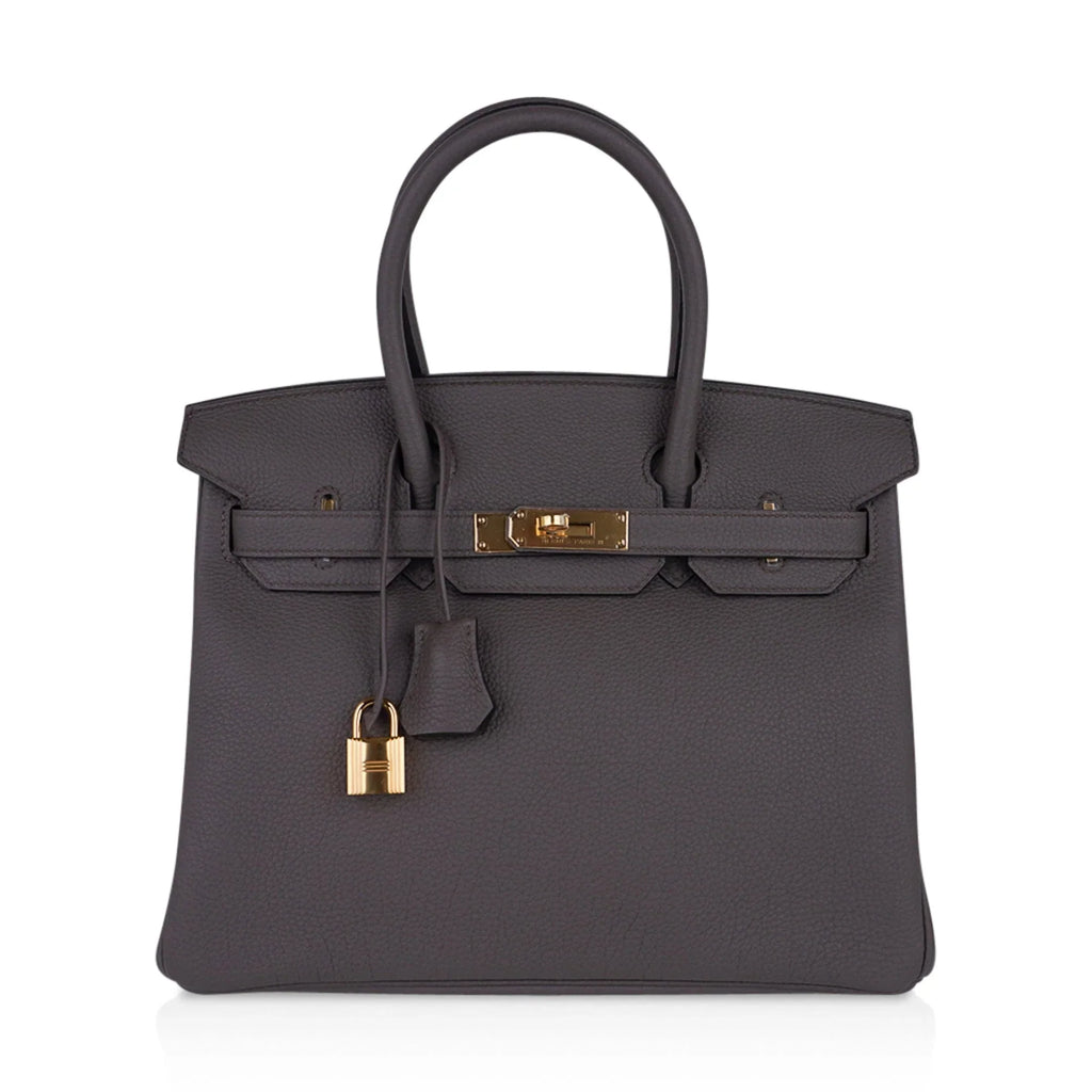 Birkin 30 Bag Etain Gray Coveted Gold Hardware Togo