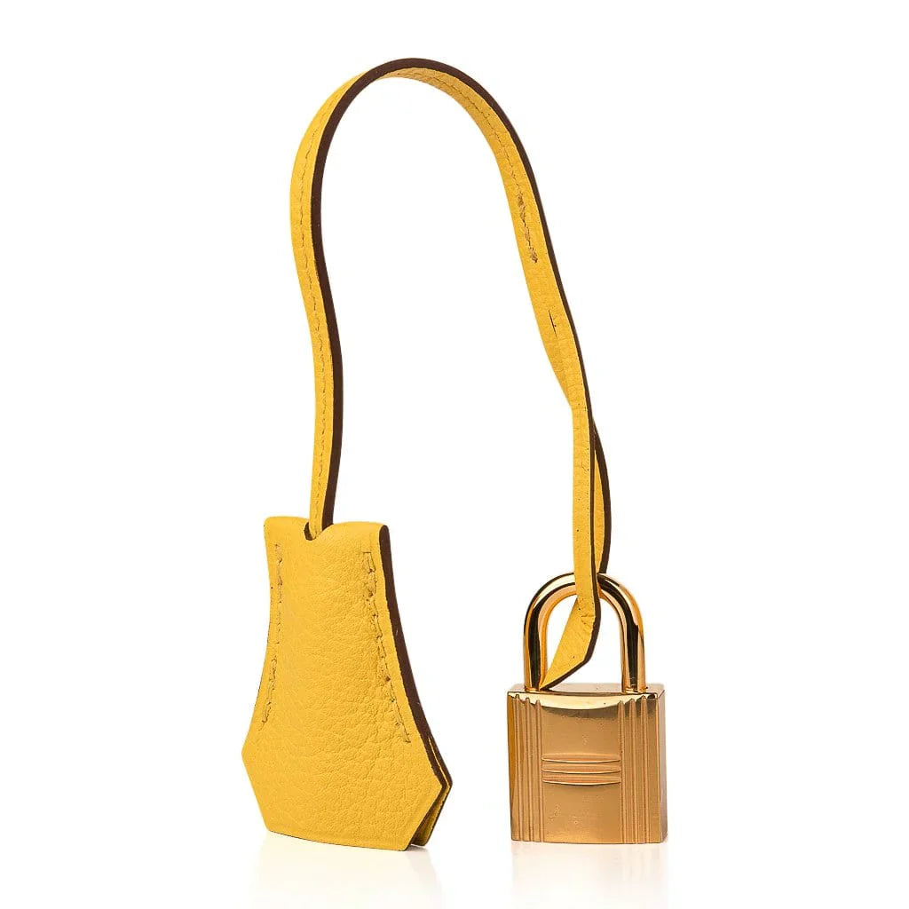 Birkin 25 Bag Jaune de Naples Novillo Gold Hardware