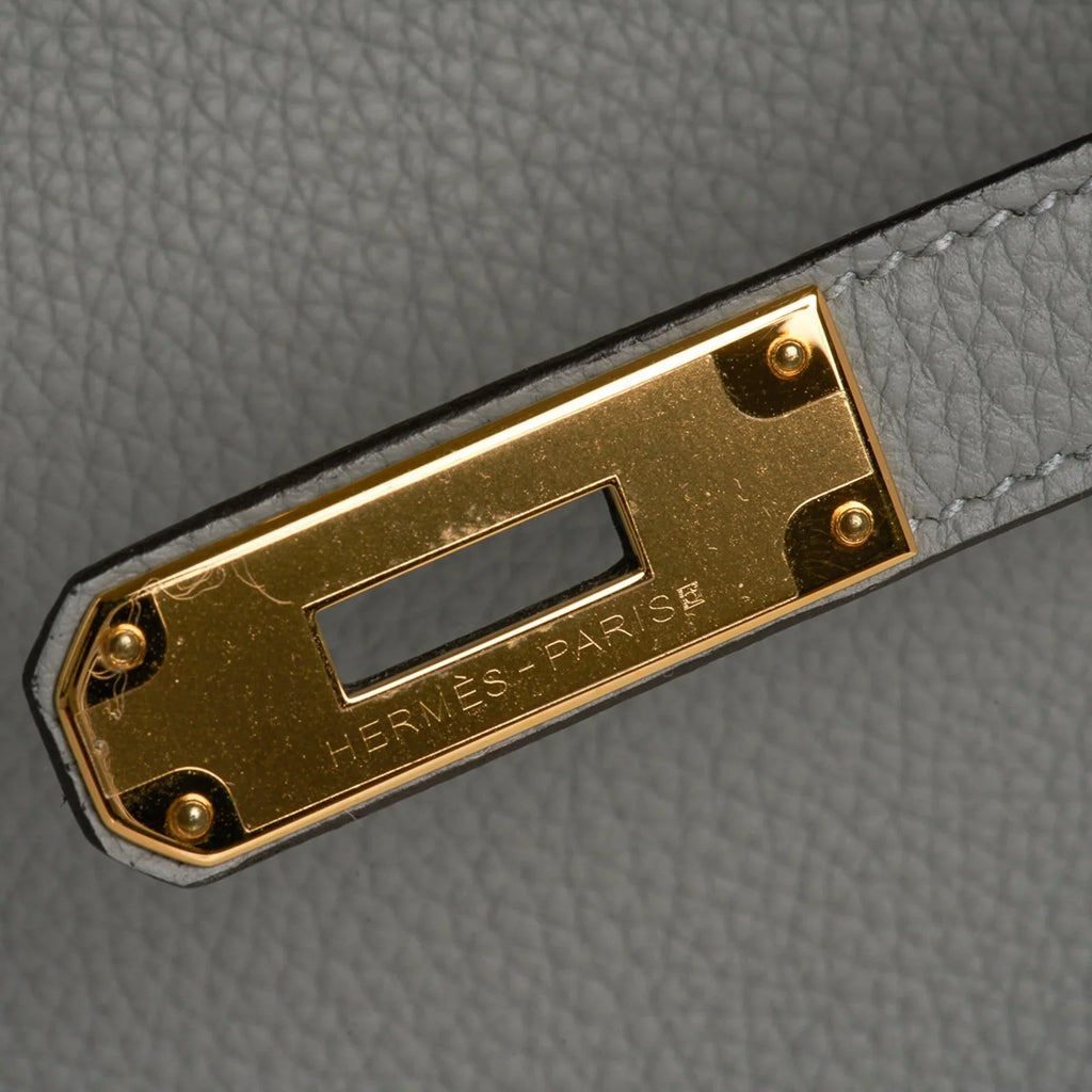 Birkin 30 Bag Gris Mouette Gold Hardware Togo Leather