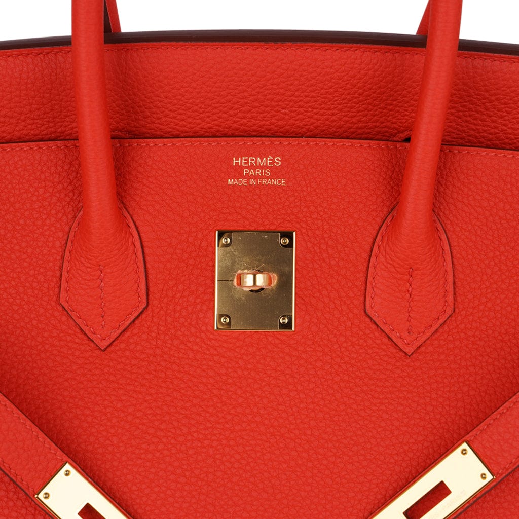 Birkin 35 Bag Capucine Togo Leather with Gold Hardware