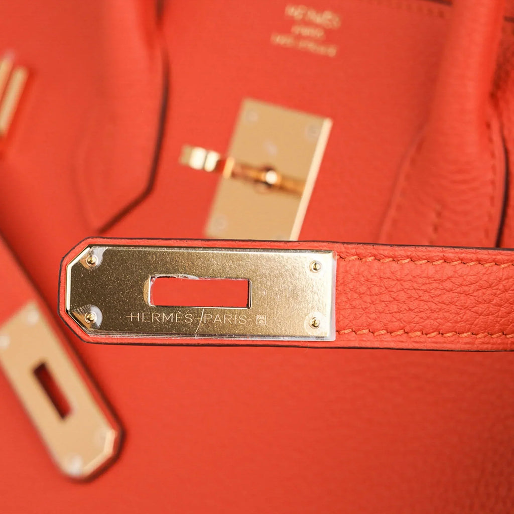 Birkin 35 Bag Feu Orange Togo Gold Hardware