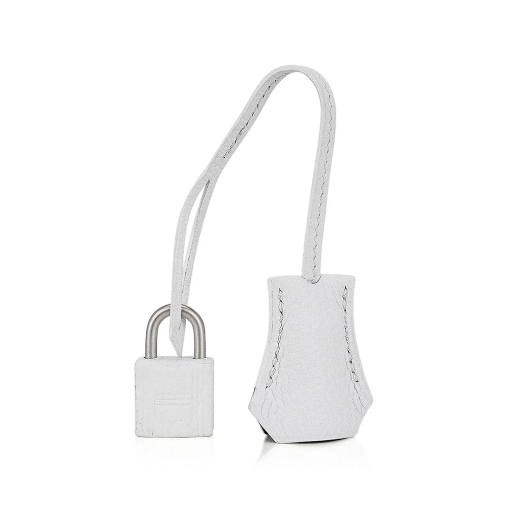 Birkin HSS 25 Bag White w/ Black Brushed Palladium Hardware