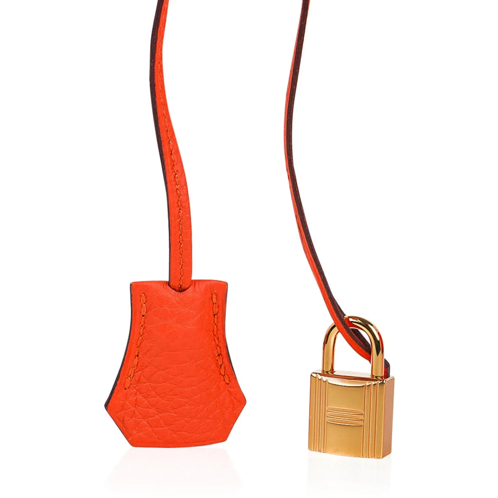 Birkin 35 Bag Feu Orange Togo Gold Hardware