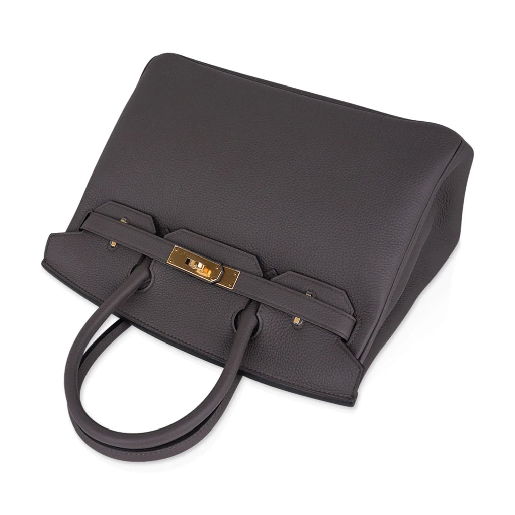 Birkin 30 Bag Etain Gray Coveted Gold Hardware Togo