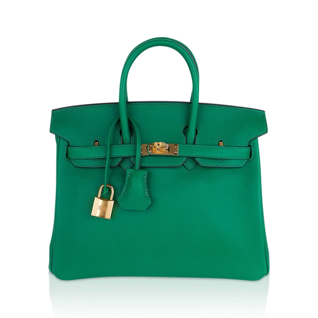 Birkin 25 Bag in Cactus Swift Leather with Gold Hardware