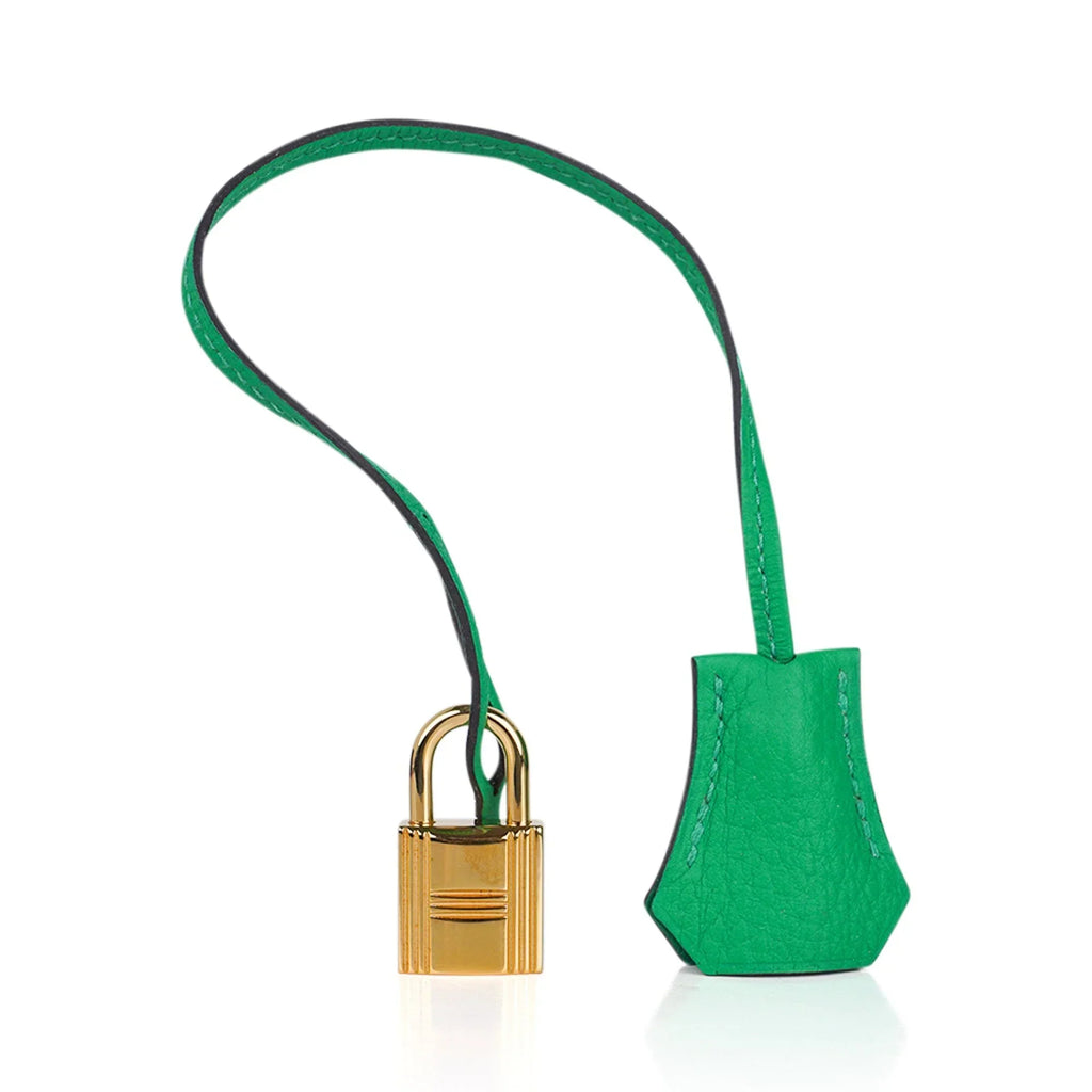 Birkin 35 Bag Bamboo Togo Leather with Gold Hardware