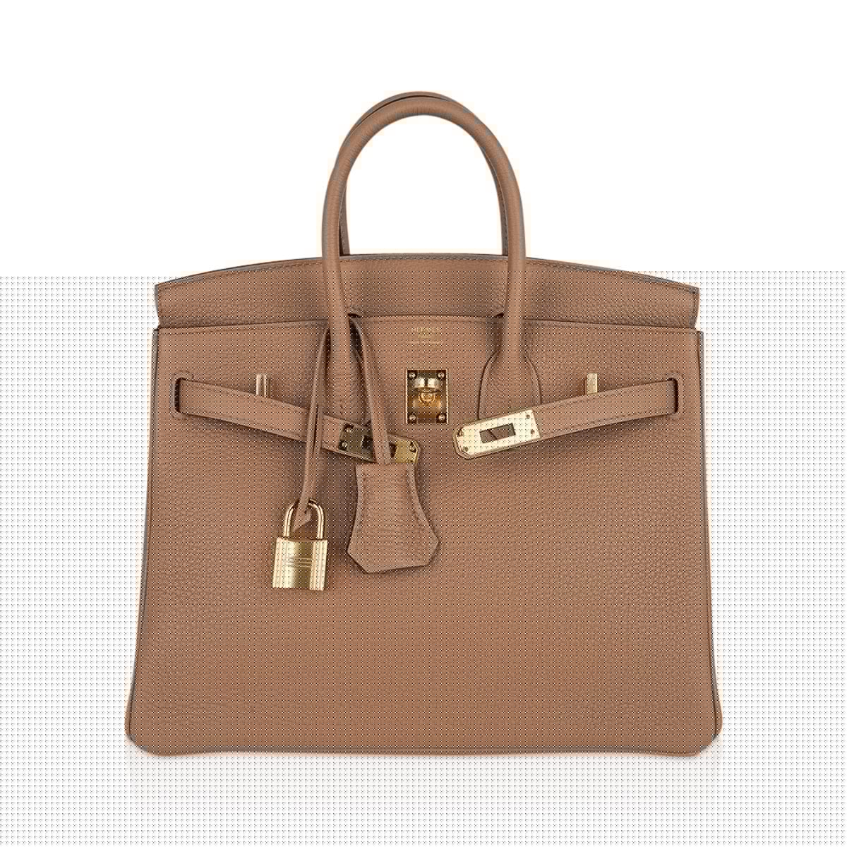 Birkin 25 Bag in Chai Togo Leather with Gold Hardware