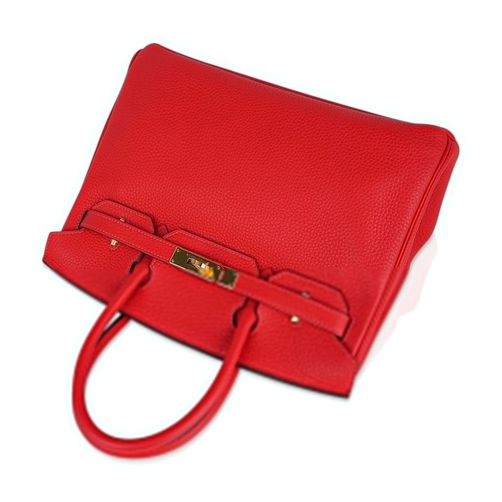 Birkin 30 Capucine Bag Togo Leather Gold Hardware