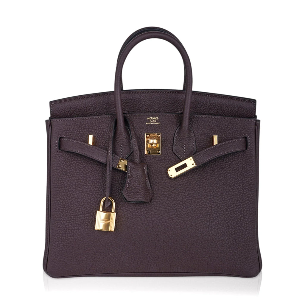 Birkin 25 Bag Chocolat Gold Hardware Togo Leather