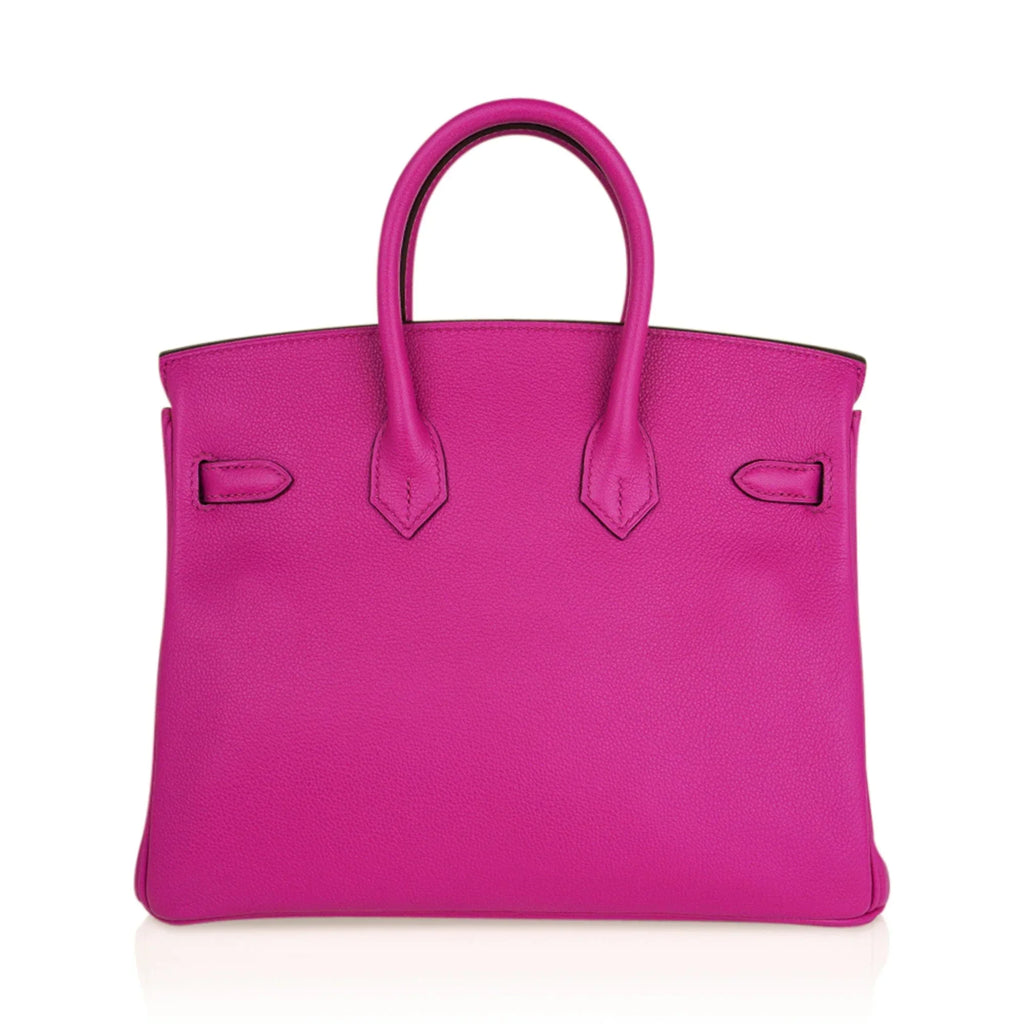 Verso Birkin 25 Bag Magnolia Capucine Togo Leather with Palladium Hardware
