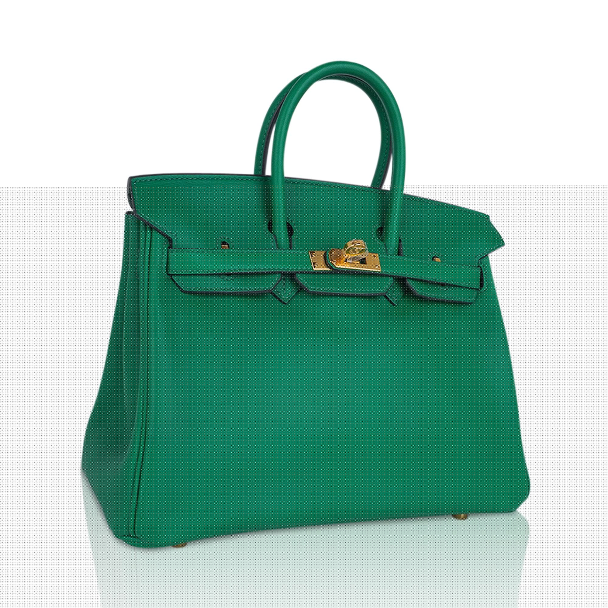 Birkin 25 Bag in Cactus Swift Leather with Gold Hardware