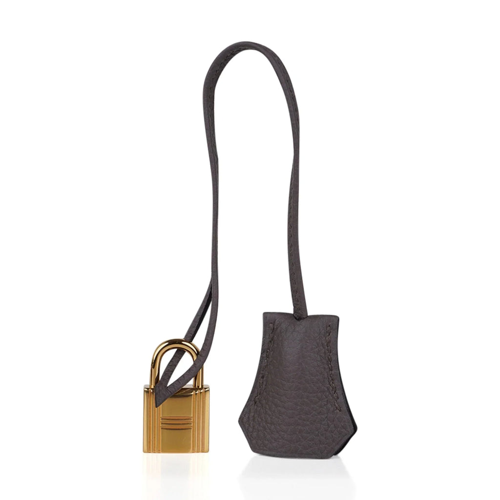 Birkin 30 Bag Etain Gray Coveted Gold Hardware Togo