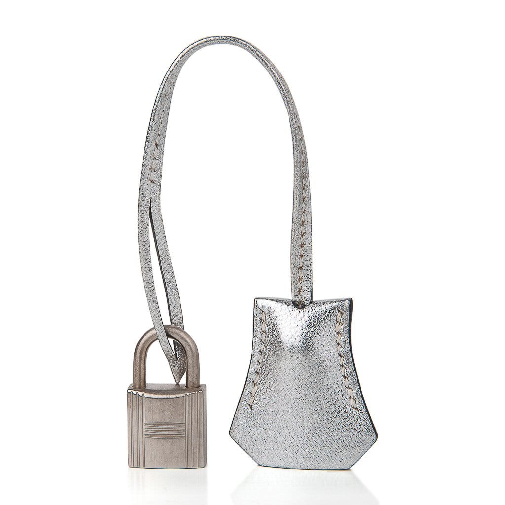 Birkin 25 Bag Metallic Silver Chevre with Brushed Palladium Hardware