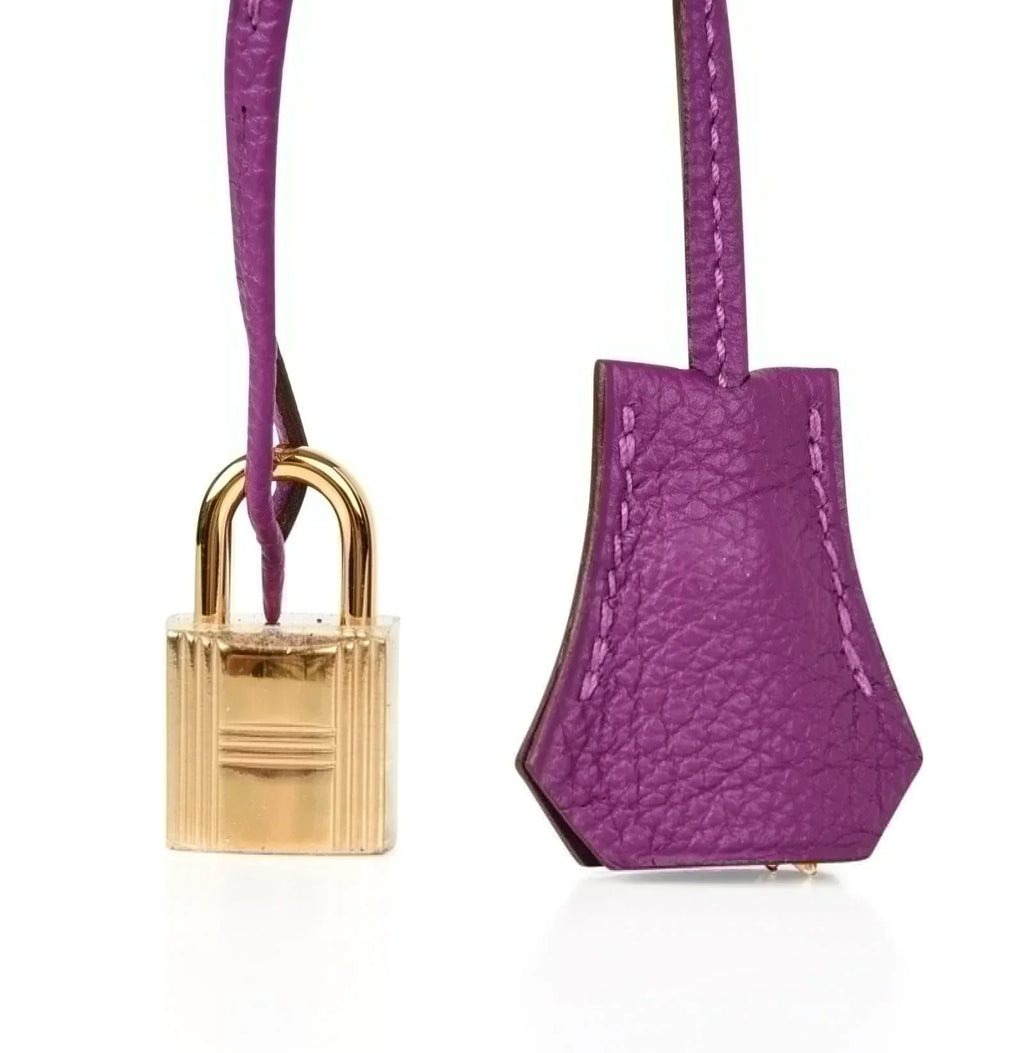 Birkin 30 Bag Anemone Togo Gold Hardware Exotic Purple Beauty
