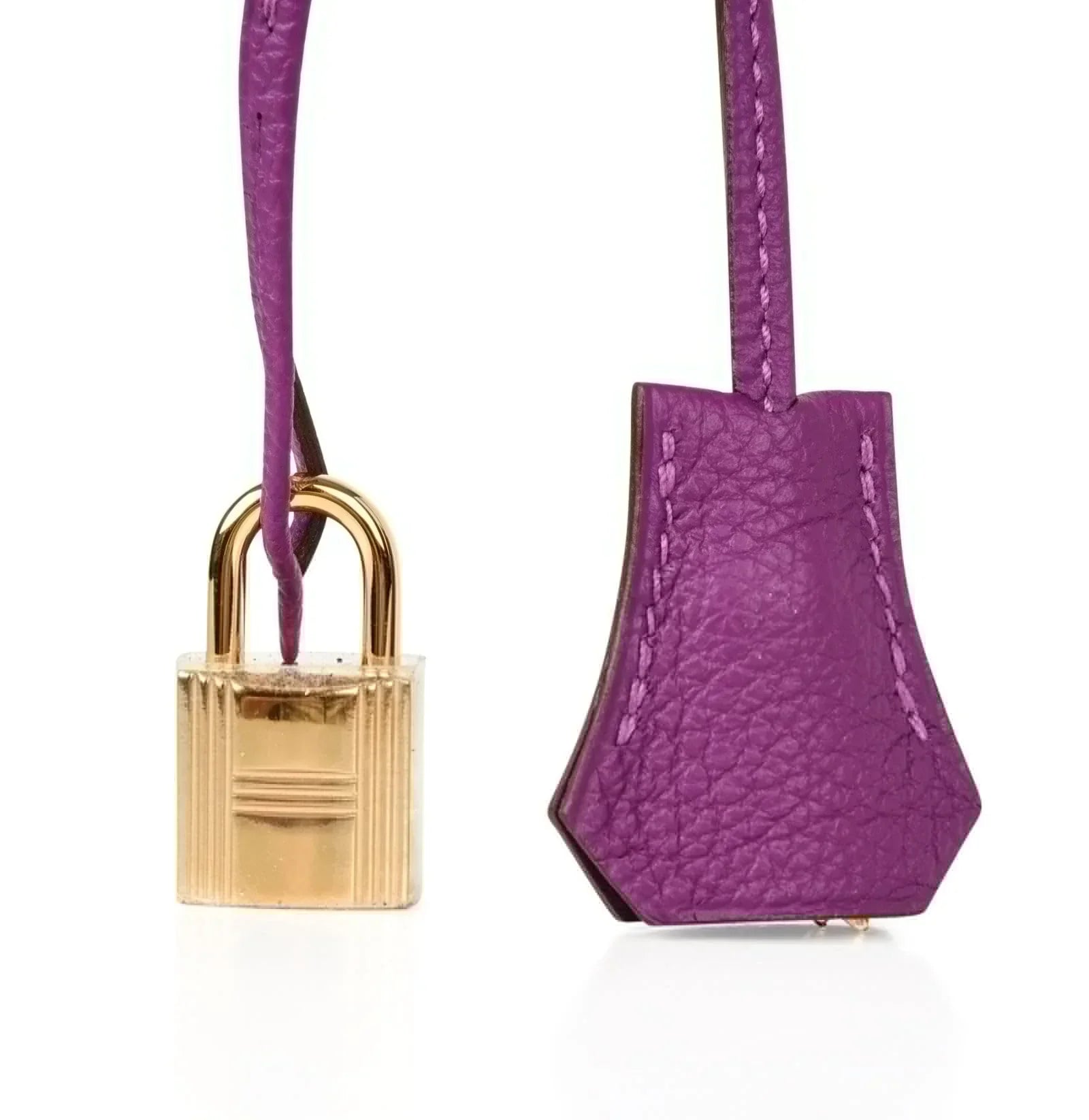 Birkin 30 Bag Anemone Togo Gold Hardware Exotic Purple Beauty