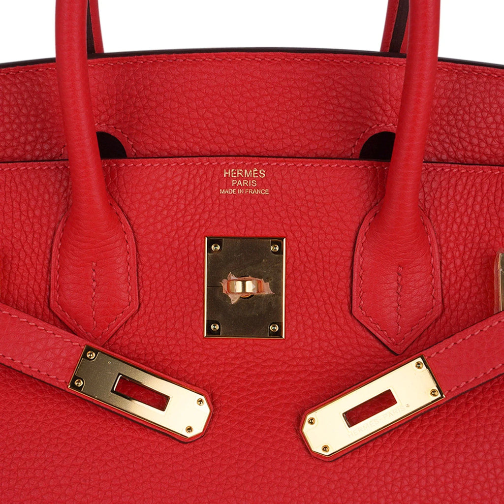Birkin 30 Capucine Bag Togo Leather Gold Hardware