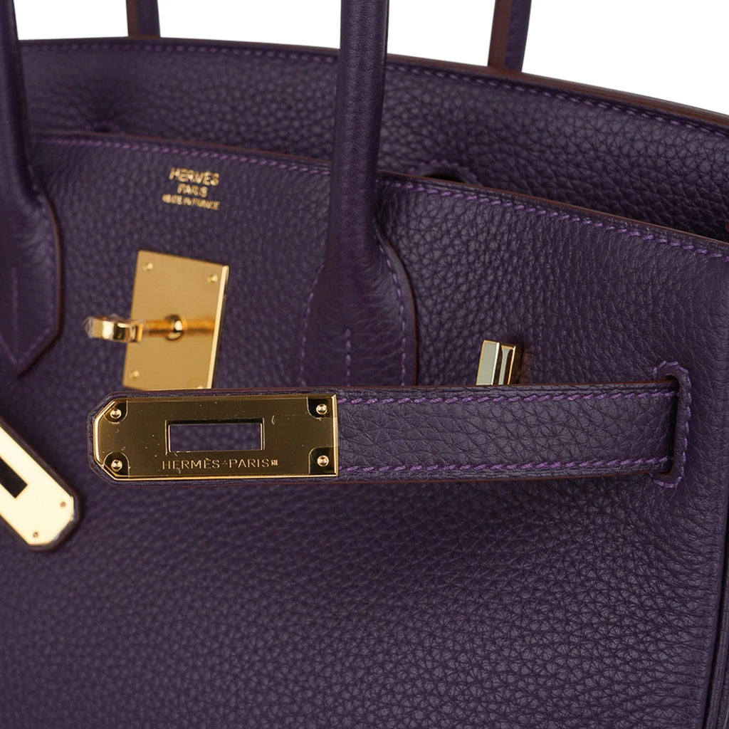 Birkin 30 Bag Raisin Rich Original Colour Gold Hardware Togo Leather