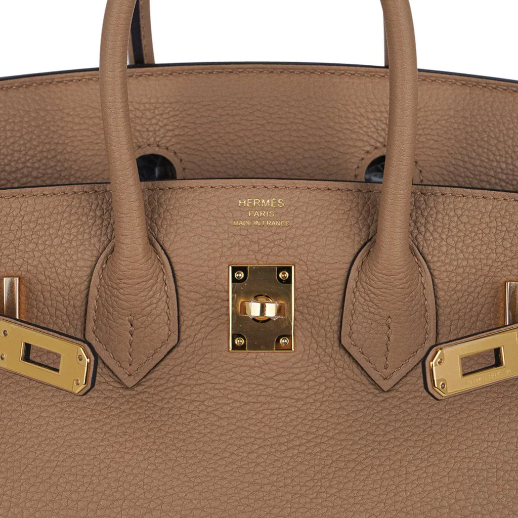 Birkin 25 Bag in Chai Togo Leather with Gold Hardware
