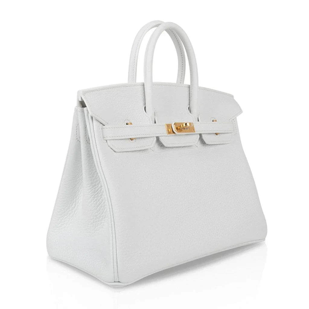 Birkin 25 HSS Bag White Clemence Gold Hardware