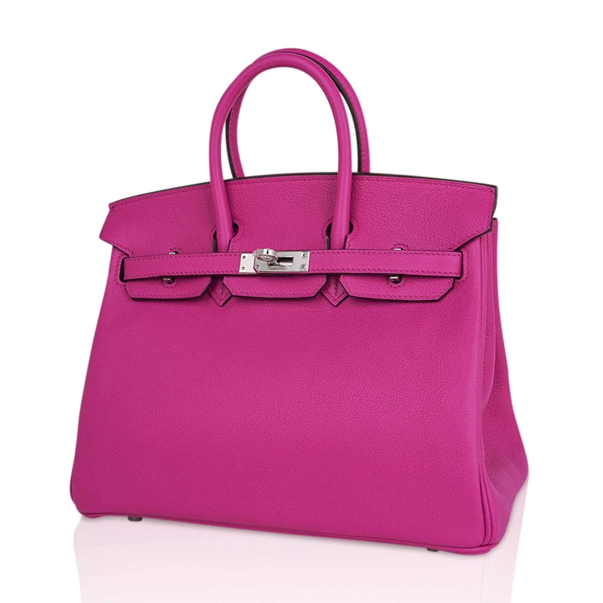 Verso Birkin 25 Bag Magnolia Capucine Togo Leather with Palladium Hardware