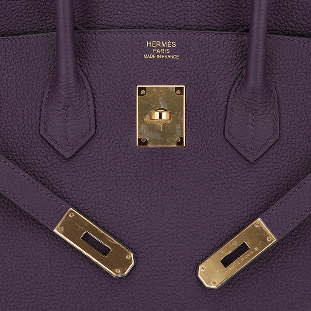 Birkin 35 Bag Raisin Togo Leather with Gold Hardware