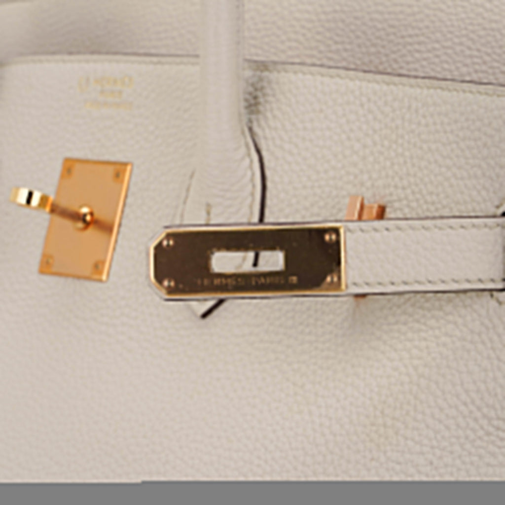 HSS Birkin 35 Trench and Corail Togo Leather Special Order Bag